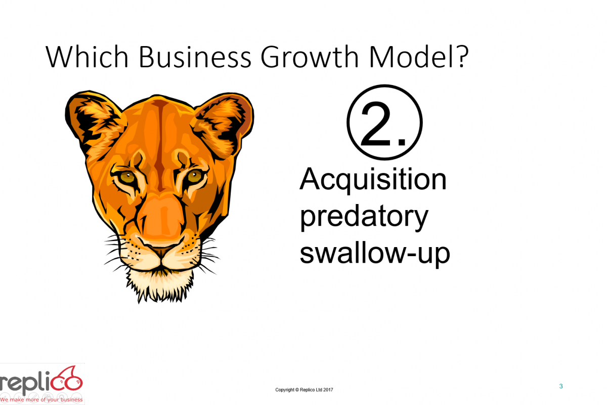 Franchise Your Business 3